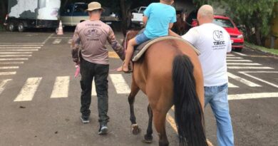 Terapia Assistida com Cavalos (TACC) Expande Atendimento em Ponte Serrada